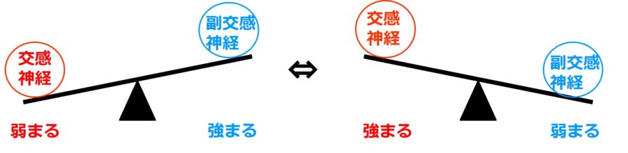 交感神経と副交感神経のバランスのイメージ図