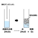 過酸化水素が分解して酸素が発生する図