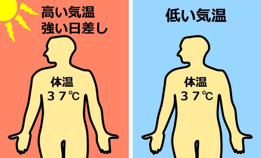 恒常性 ホメオスタシス せいぶつ農国