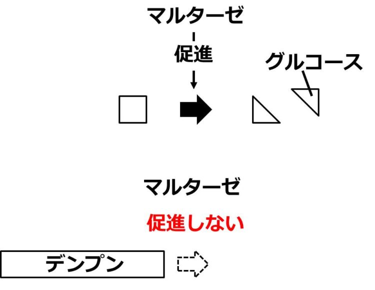 マルターゼがマルトースの分解反応を促進　デンプンの分解は促進しない