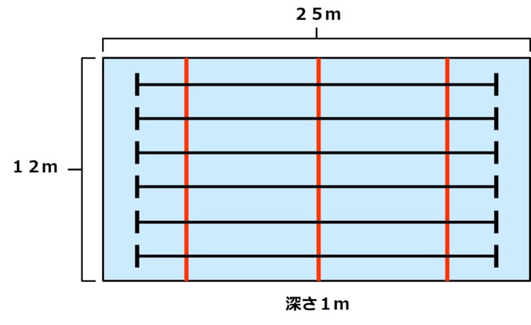 学校のプールの規格