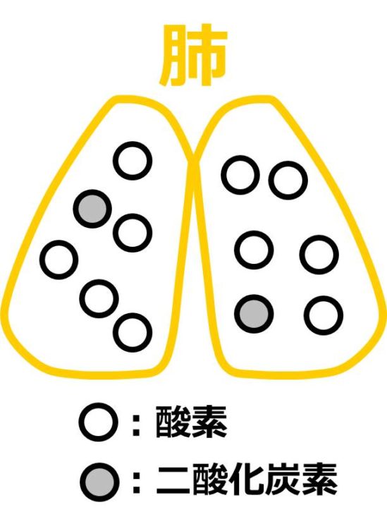 肺内に、酸素の丸が１０個、二酸化炭素の丸が２個、描かれた図。