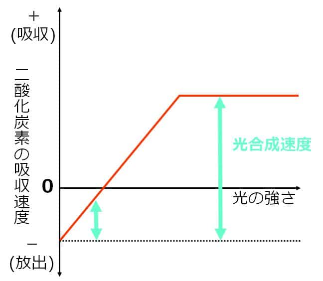 赤線のグラフと、呼吸速度の点線との間の幅が、矢印によって示されている