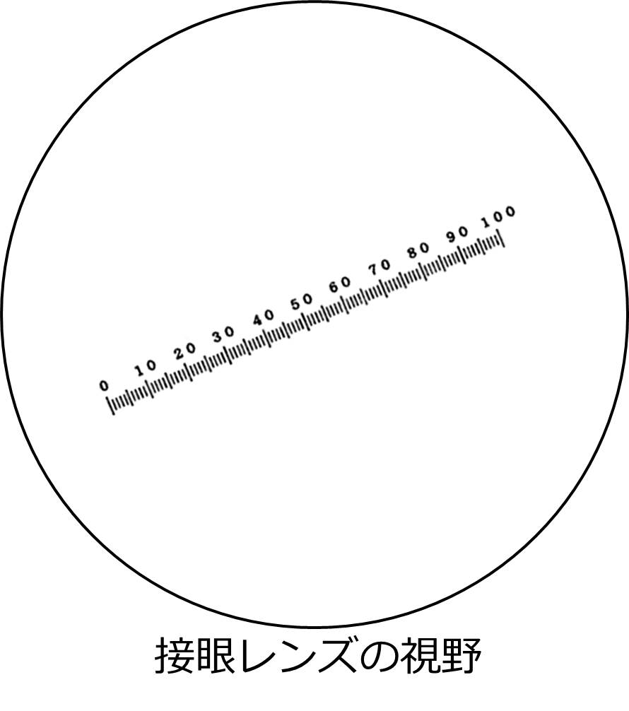 ミクロメータ:接眼ミクロメータと対物ミクロメータの使い方 せいぶつ農国 ミクロメータ:接眼ミクロメータと対物ミクロメータの使い方 せいぶつ農国