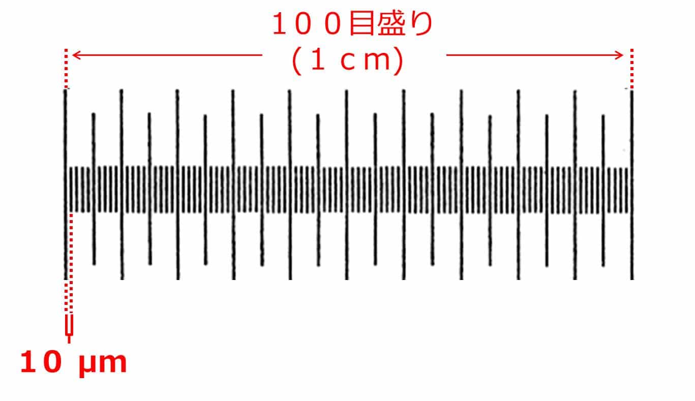 ミクロメータ:接眼ミクロメータと対物ミクロメータの使い方 せいぶつ農国 ミクロメータ:接眼ミクロメータと対物ミクロメータの使い方 せいぶつ農国