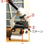 顕微鏡の写真に①～④の番号が記されている。