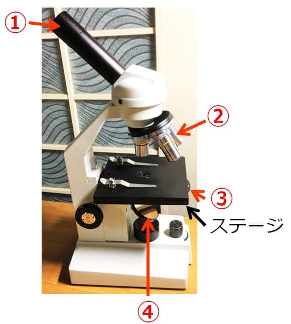 顕微鏡の写真に①～④の番号が記されている。