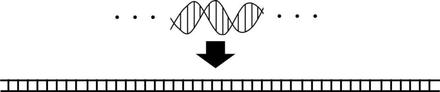 上側にらせん構造のDNA、下側にはしご形のDNAの図