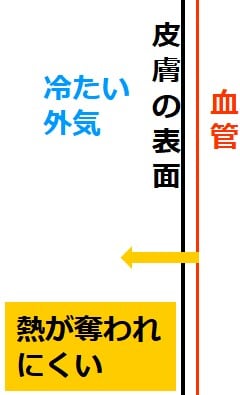 血管が細い図