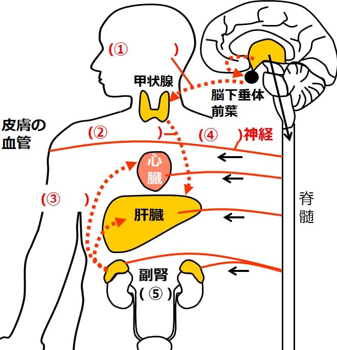 図に空欄がある